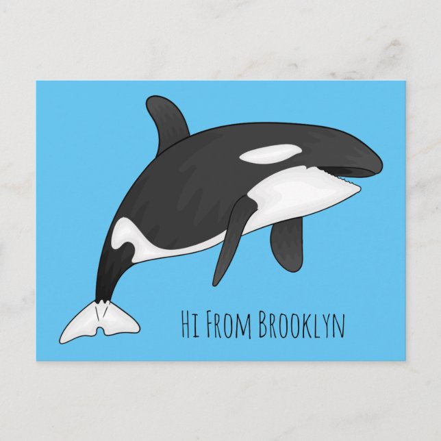 Carte Postale Illustration d'une baleine tueuse (Devant)