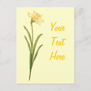 Carte Postale Illustration d'une seule jonquille par Kate Greena