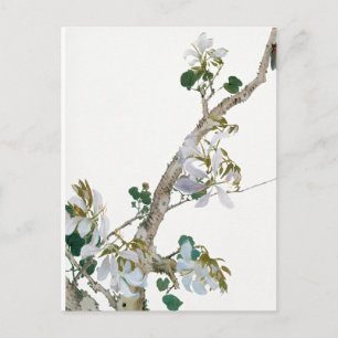 Carte Postale Illustration Fleurs vintages