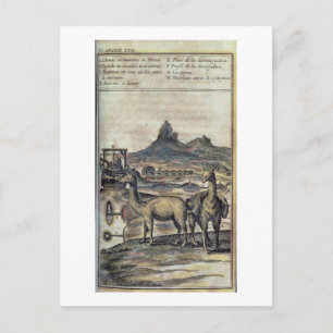 Carte Postale Illustration from a history of Pérou
