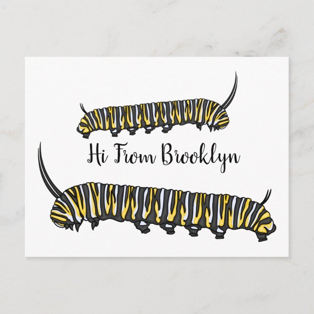 Carte Postale Illustration Monarch caterpillar (Devant)