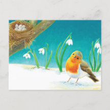 Illustration Red Robin Bird & snowdrops
