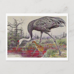 Carte postale Illustration vintage