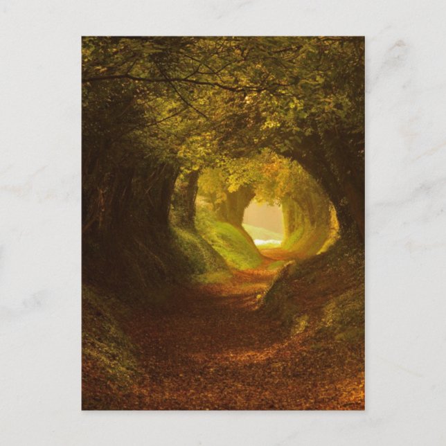 Carte postale Illustration vintage (Devant)