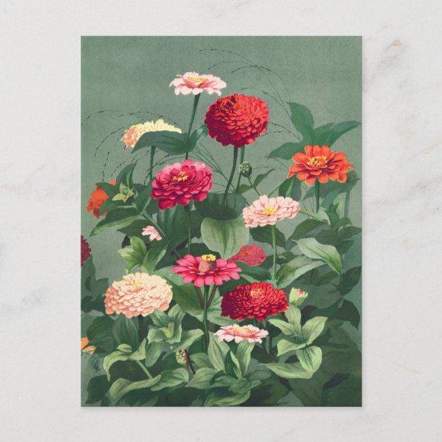 Carte Postale Illustration vintage (Devant)