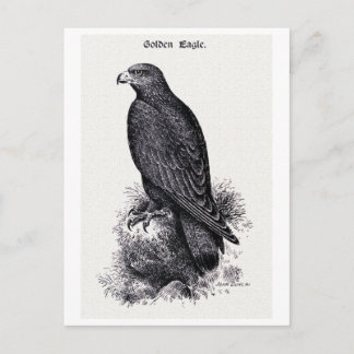 Carte Postale Illustration Vintage "Aigle d'or"