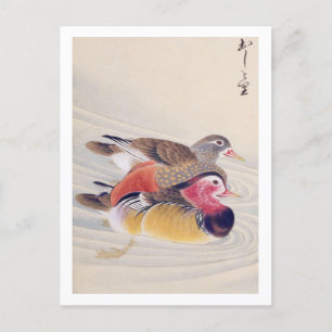 Carte Postale Illustration vintage : canard mandarin