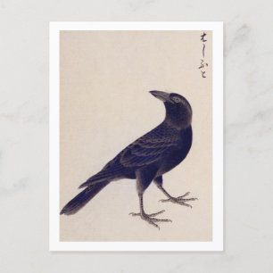 Carte Postale Illustration vintage : Corneille de la jungle