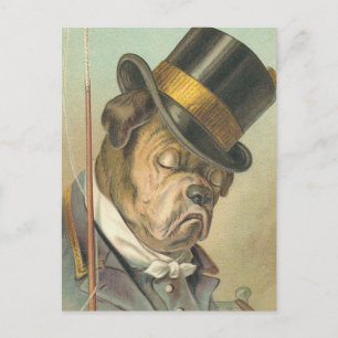 Carte Postale Illustration vintage "de chien de sommeil"