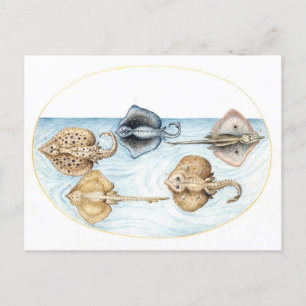 Carte Postale Illustration Vintage de cinq rayures