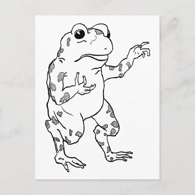 Carte Postale Illustration vintage de grenouille taureau (Devant)