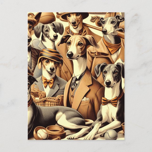 Carte Postale Illustration vintage de Greyhound (Devant)