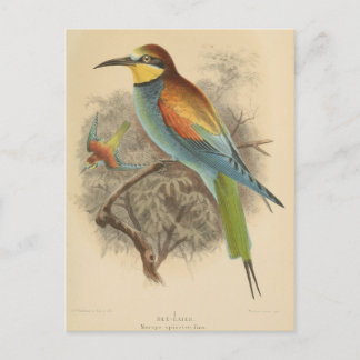 Carte Postale Illustration vintage de l'Abeille européenne