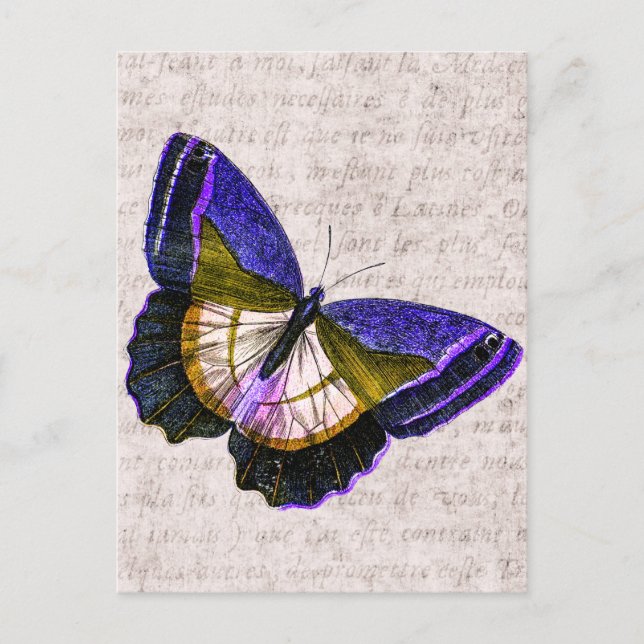 Carte Postale Illustration vintage de papillon violet et or (Devant)