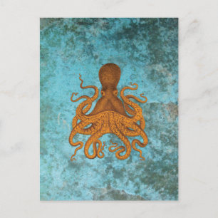 Carte Postale Illustration vintage de pieuvre sur Turquoise