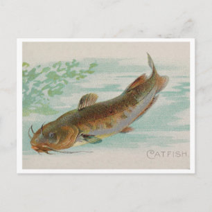 Carte Postale Illustration vintage de poisson-chat