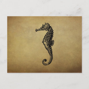 Carte Postale Illustration vintage d'hippocampe