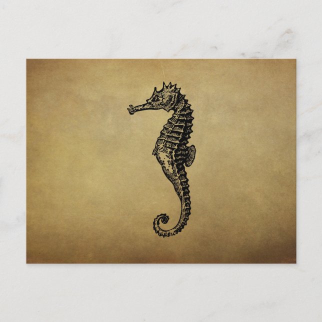 Carte Postale Illustration vintage d'hippocampe (Devant)