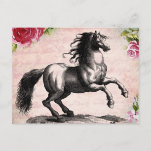 Carte Postale Illustration vintage du cheval