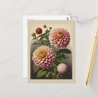 Carte Postale Illustration vintage d'un Dahlia 