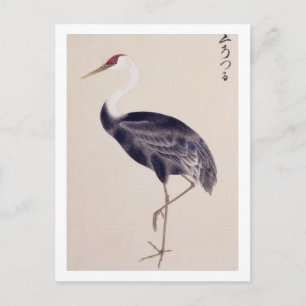 Carte Postale Illustration vintage : Grue cendrée