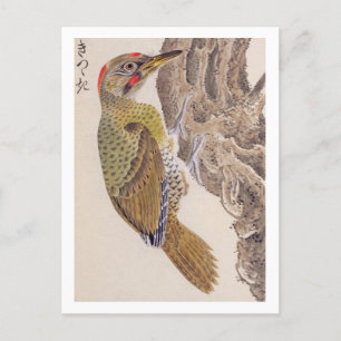 Carte Postale Illustration vintage : Pic de bois