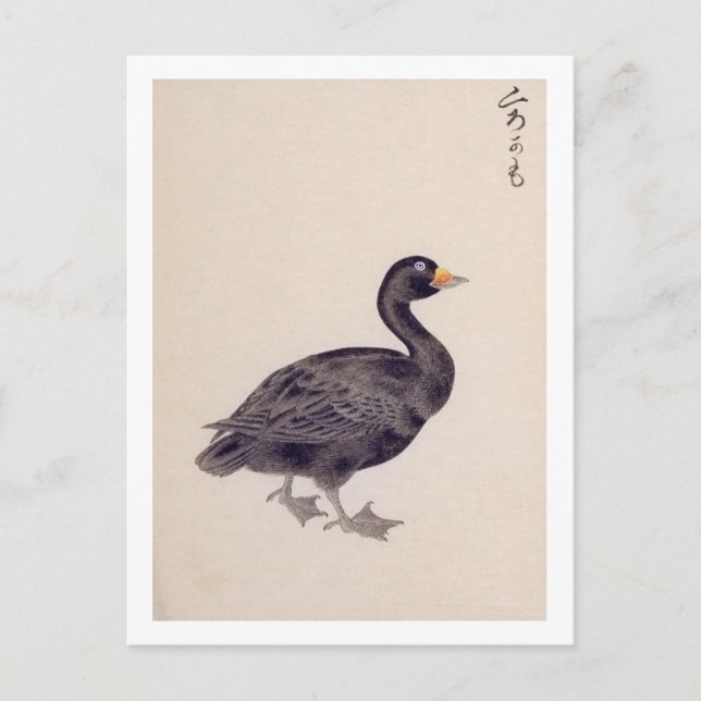Carte Postale Illustration vintage : scooter commun (Devant)