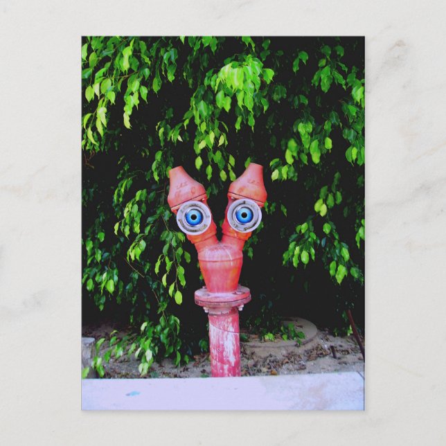 Carte Postale Ils sont ici (Devant)