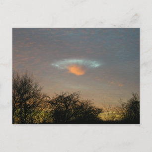 Carte Postale . . . Ils sont ici ! ! !