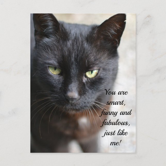 Carte Postale Image Amoureux des chats noir avec un billet de de (Devant)
