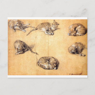 Carte Postale image-clip-8