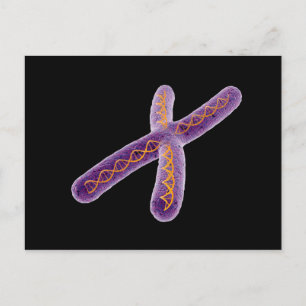 Carte Postale Image Conceptuelle De Chromosome 2