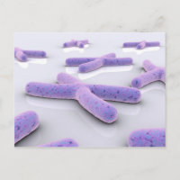 Image Conceptuelle De Chromosome 4
