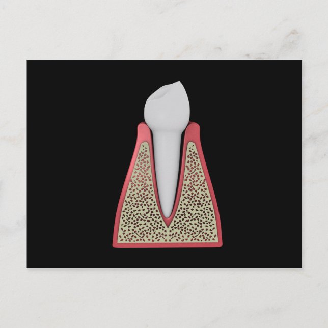 Carte Postale Image Conceptuelle De La Dent Humaine 1 (Devant)