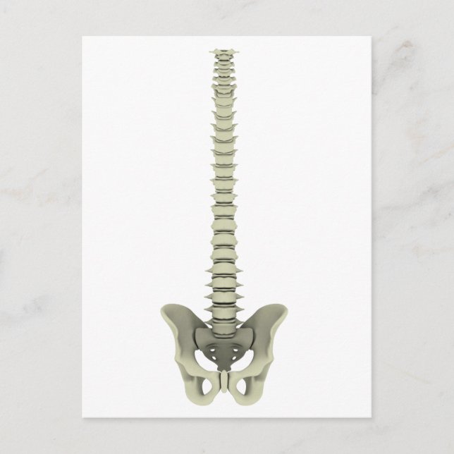 Carte Postale Image Conceptuelle De La Fondatrice Humaine 1 (Devant)