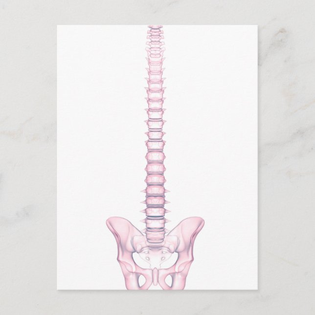 Carte Postale Image Conceptuelle De La Fondatrice Humaine 2 (Devant)