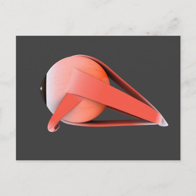 Carte Postale Image Conceptuelle De L'Anatomie Des Yeux Humains  (Devant)