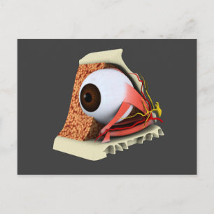 Carte Postale Image Conceptuelle De L'Anatomie Des Yeux Humains 