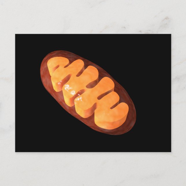 Carte Postale Image Conceptuelle De Mitochondria 1 (Devant)