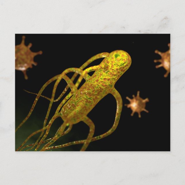 Carte Postale Image Conceptuelle De Salmonella Typhi 1 (Devant)