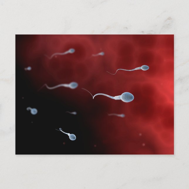 Carte Postale Image Conceptuelle De Sperm À L'Intérieur Du Tube  (Devant)