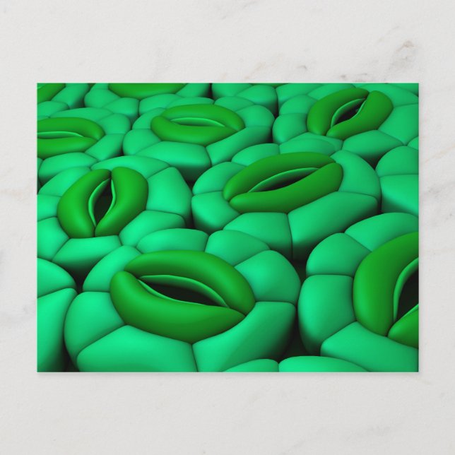Carte Postale Image Conceptuelle De Stomata 1 (Devant)