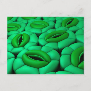 Carte Postale Image Conceptuelle De Stomata 1