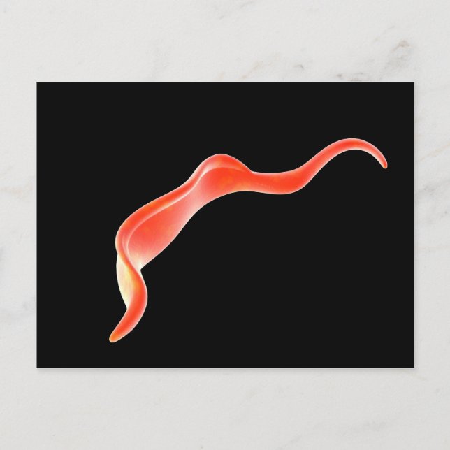 Carte Postale Image Conceptuelle De Trypanosoma 2 (Devant)