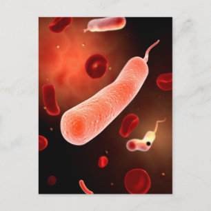 Carte Postale Image Conceptuelle De Vibrio Cholerae 2