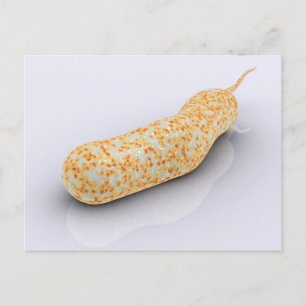 Carte Postale Image Conceptuelle De Vibrio Cholerae 3