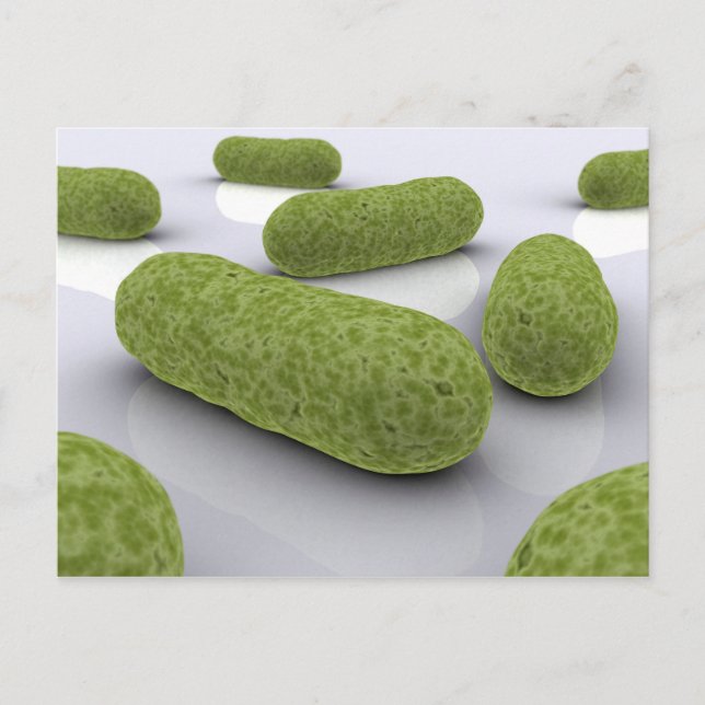 Carte Postale Image Conceptuelle Des Bactéries 1 (Devant)