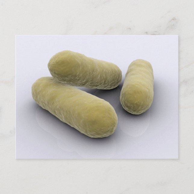 Carte Postale Image Conceptuelle Des Bactéries 2 (Devant)