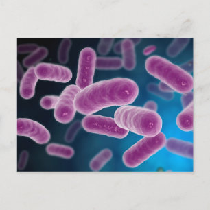 Carte Postale Image Conceptuelle Des Bactéries 3