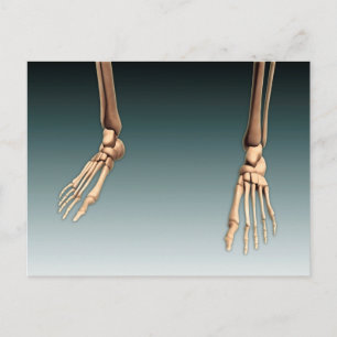 Carte Postale Image Conceptuelle Des Os Dans Les Jambes Et Les P